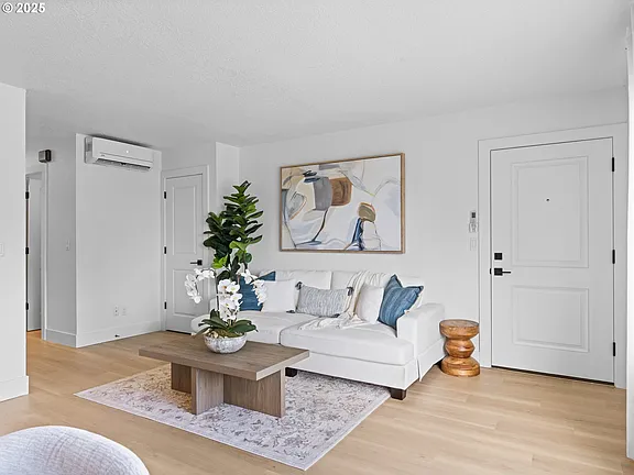 Living room showing the mini-split unit